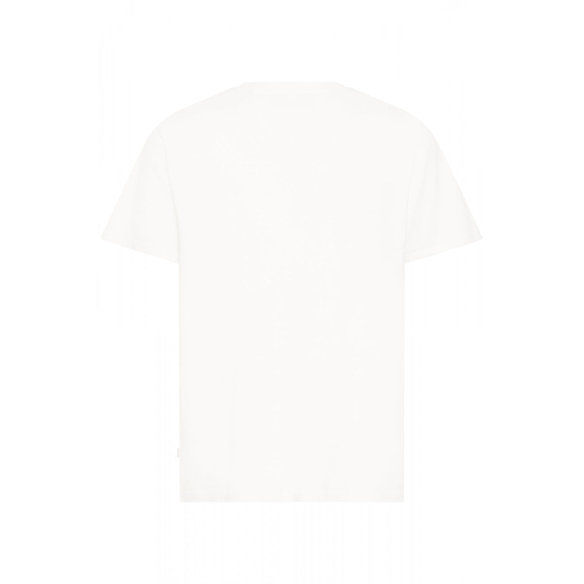 SDTrex Small Graphic Regular Fit T-Shirt
