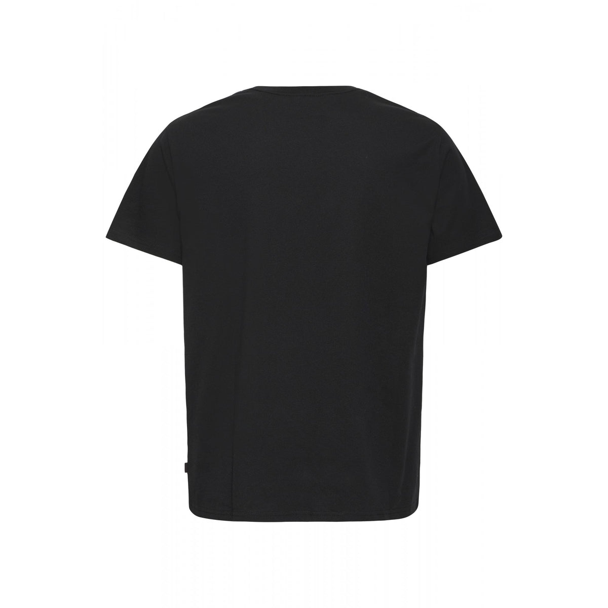 SDTrex Small Graphic Regular Fit T-Shirt