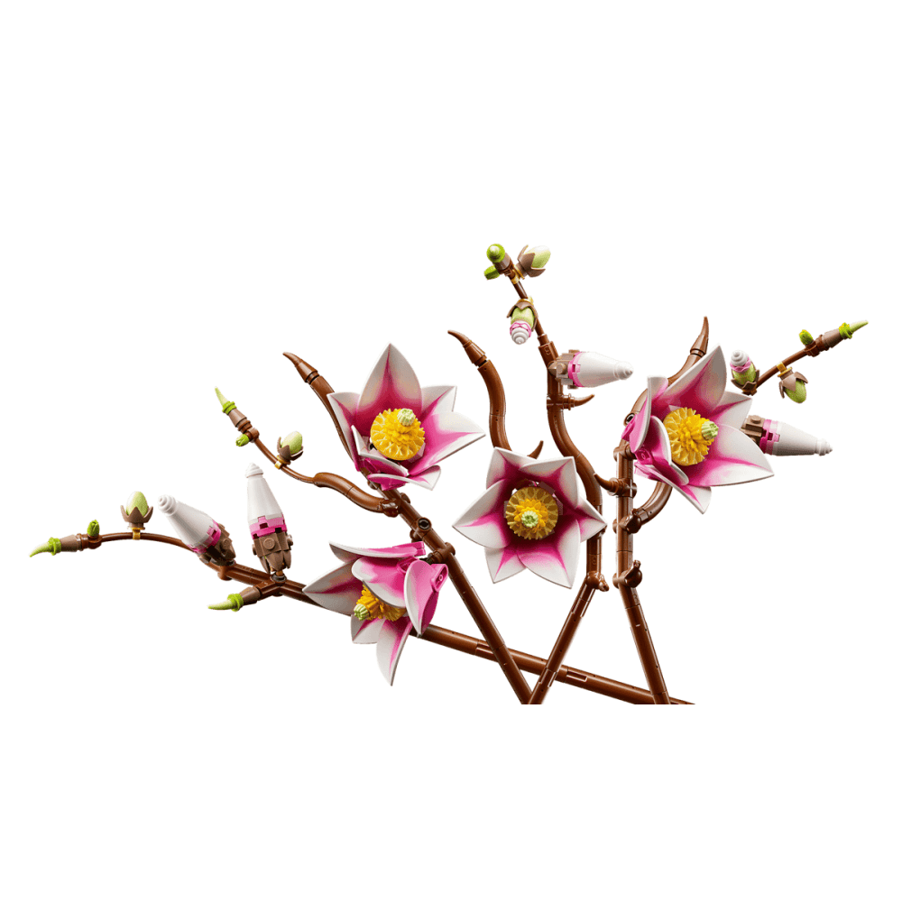 Magnolia Branches 11510