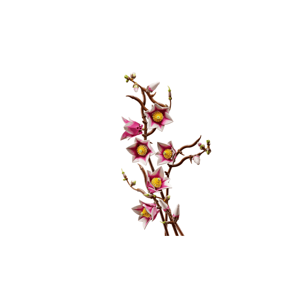 Magnolia Branches 11510