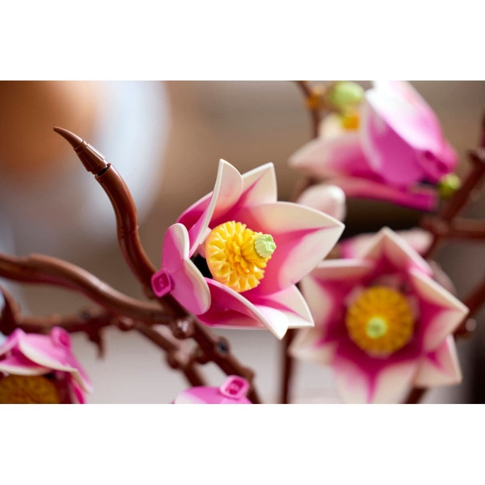 Magnolia Branches 11510