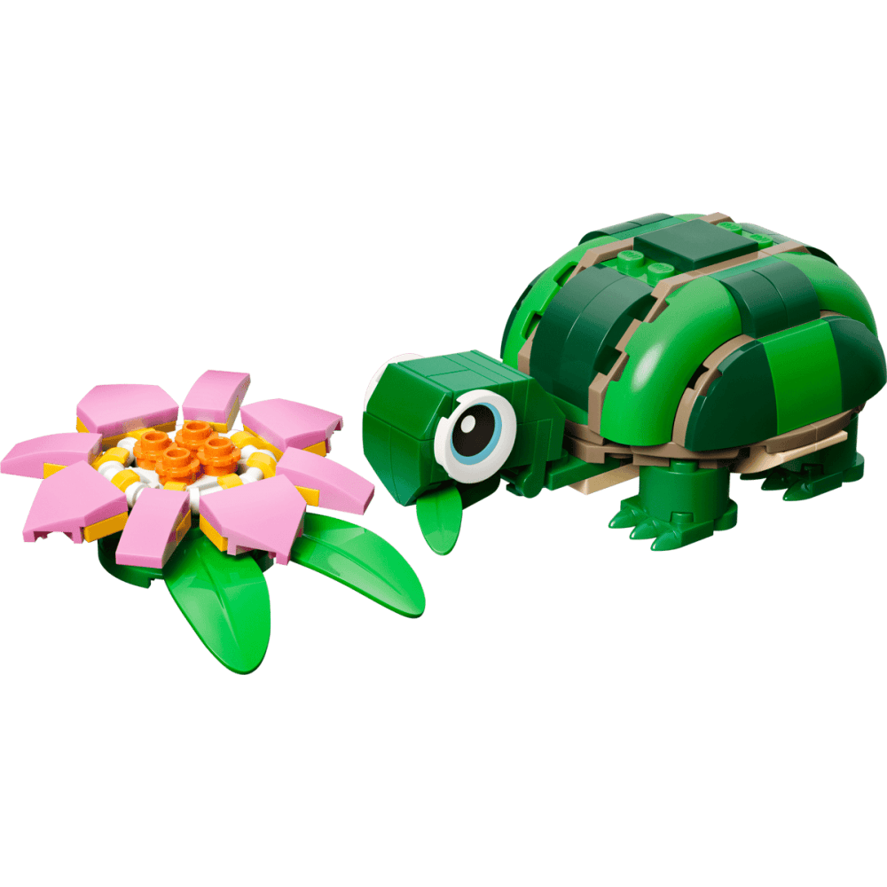 Turtle with a Water Lily Flower 31377