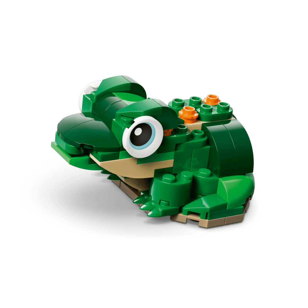 Turtle with a Water Lily Flower 31377
