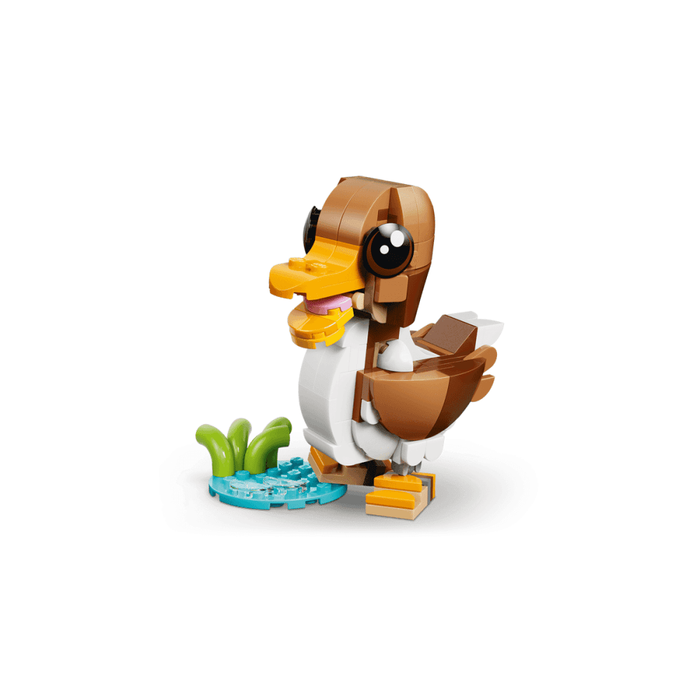 Cute Animals: Playful Puppy Dog 31382