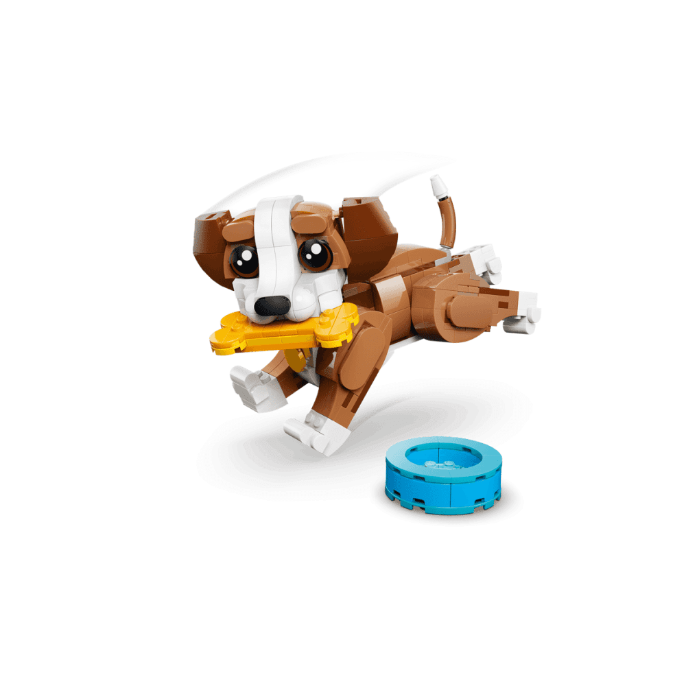 Cute Animals: Playful Puppy Dog 31382