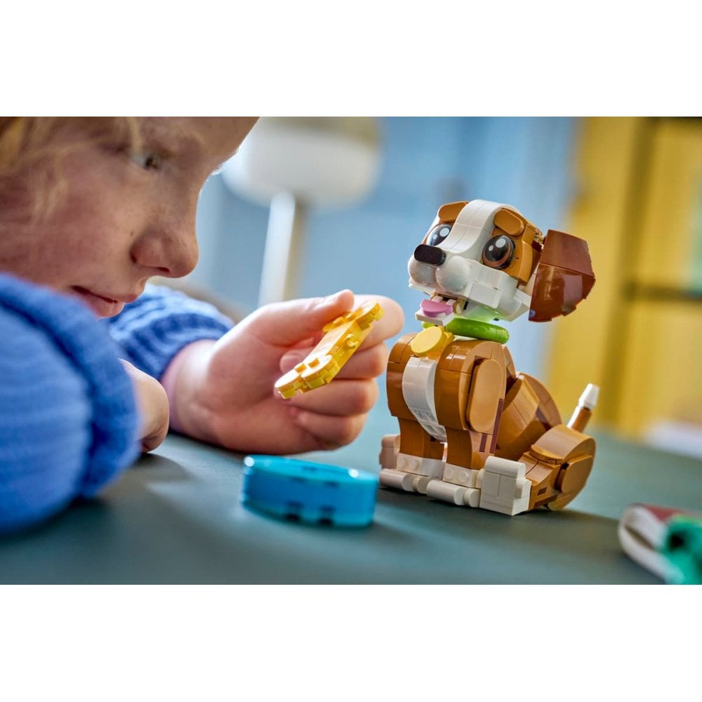 Cute Animals: Playful Puppy Dog 31382