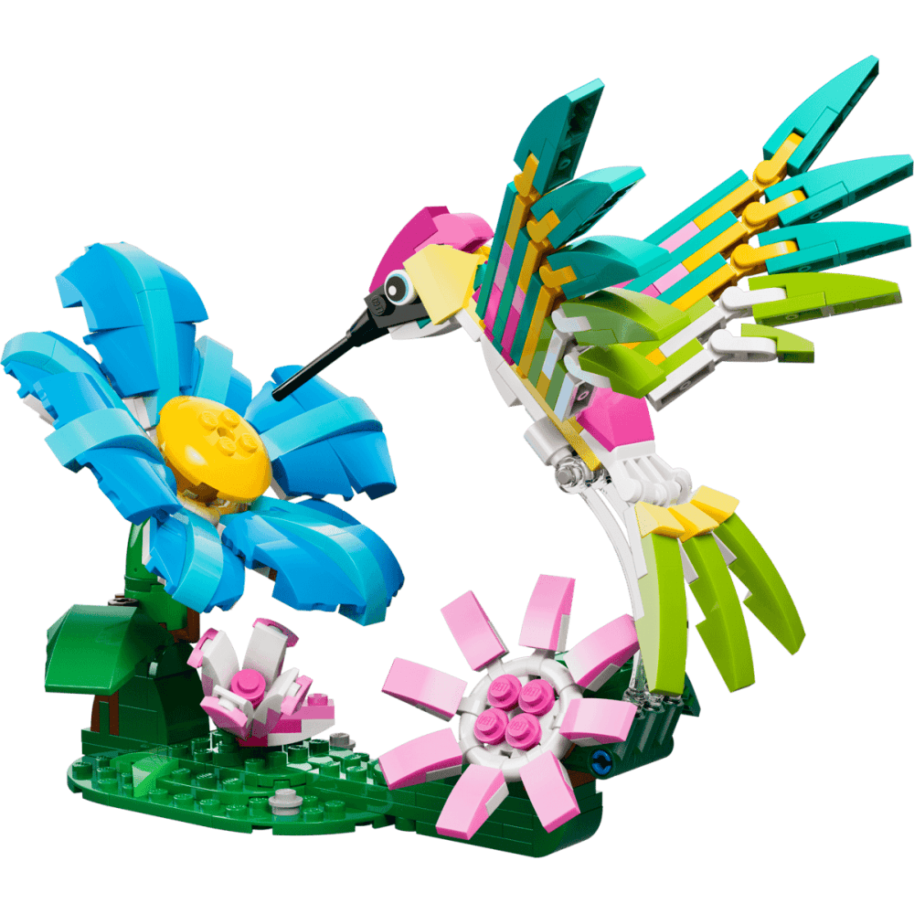 Wild Animals: Colorful Hummingbird 31384
