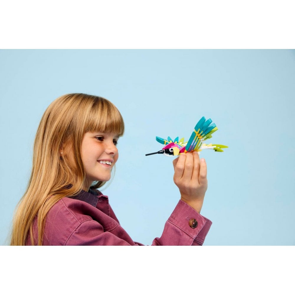 Wild Animals: Colorful Hummingbird 31384