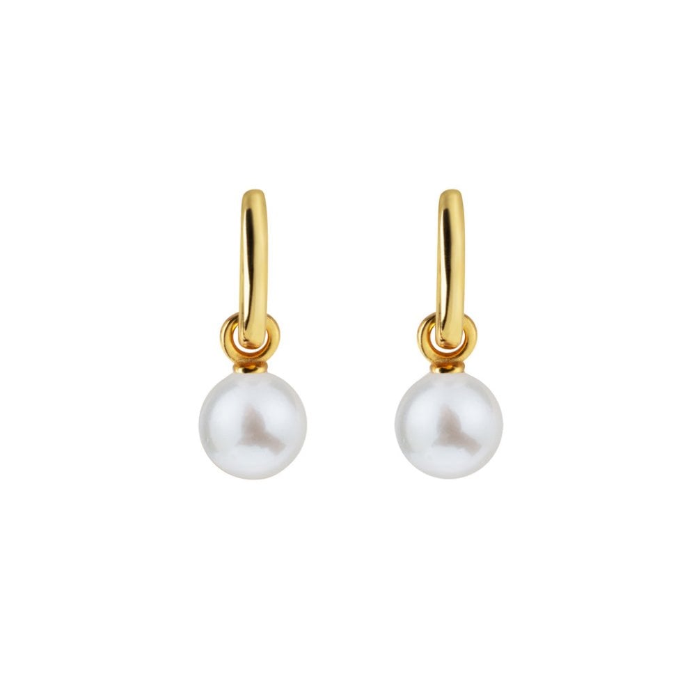 AETIA Medium White Pearl Hoop Earrings - 14ct Gold Vermeil
