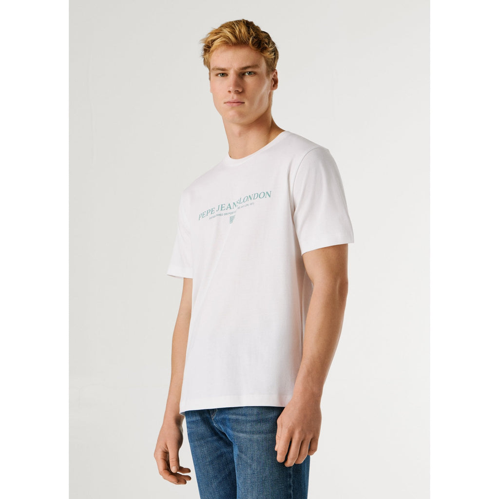 Summer Seasonal Logo Print Regular Fit T-Shirt