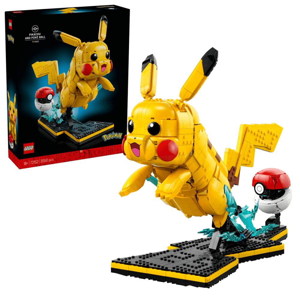 Pikachu and Poké Ball 72152
