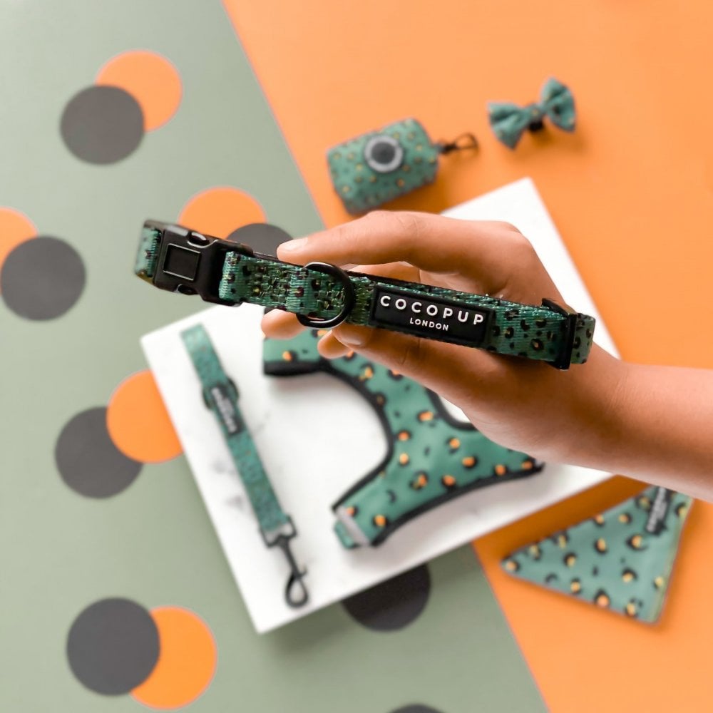 Leopard Dog Collar