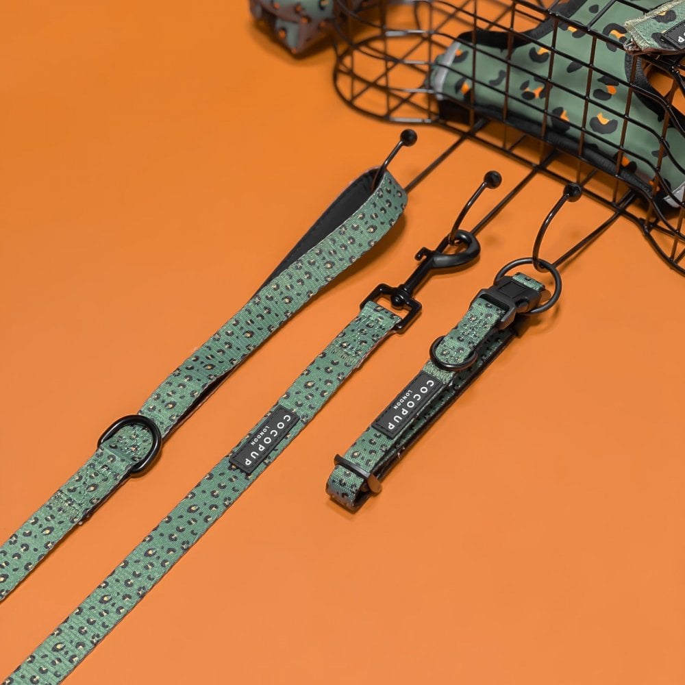 Leopard Dog Collar