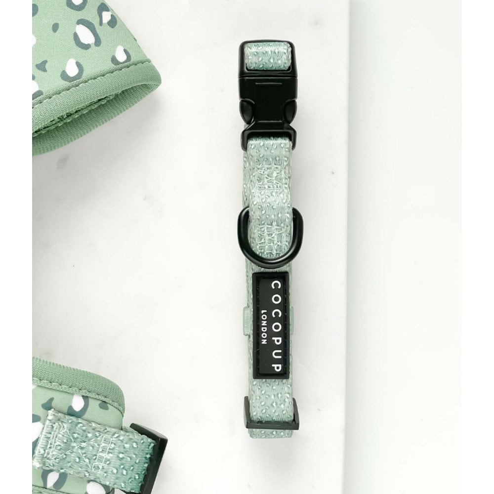 Leopard Dog Collar