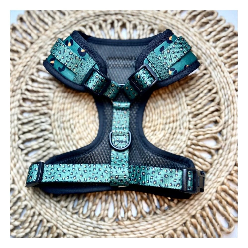 Leopard Dog Harness