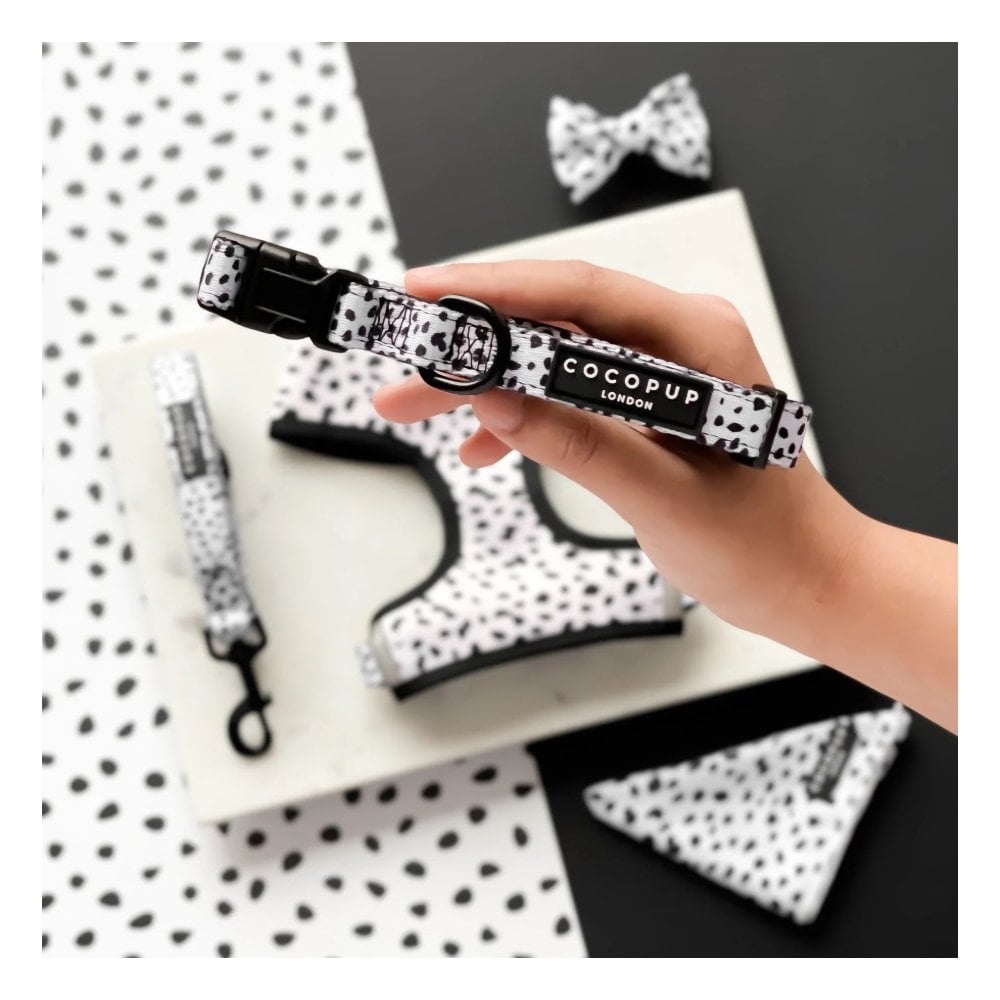 Spot Dog Collar
