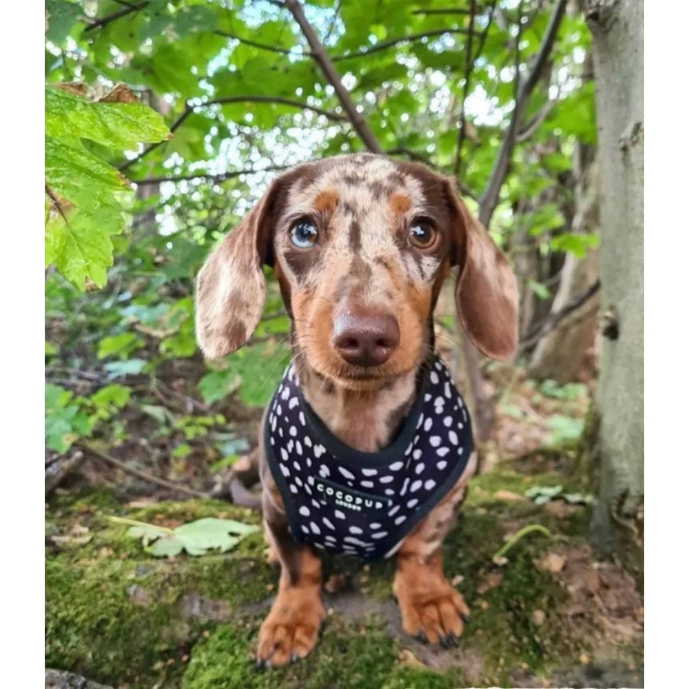 Spot Reversible Dog Harness