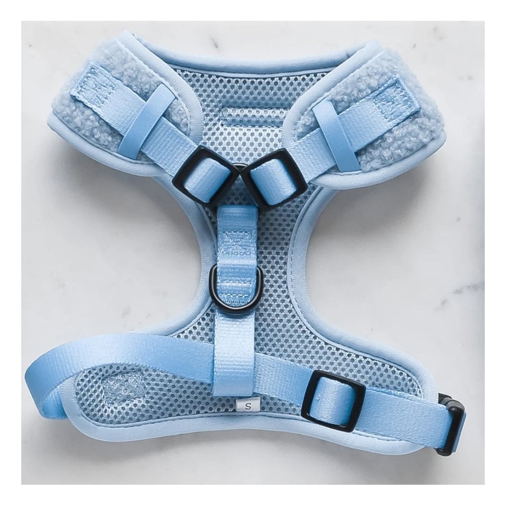 Daydream Teddy Adjustable Dog Harness
