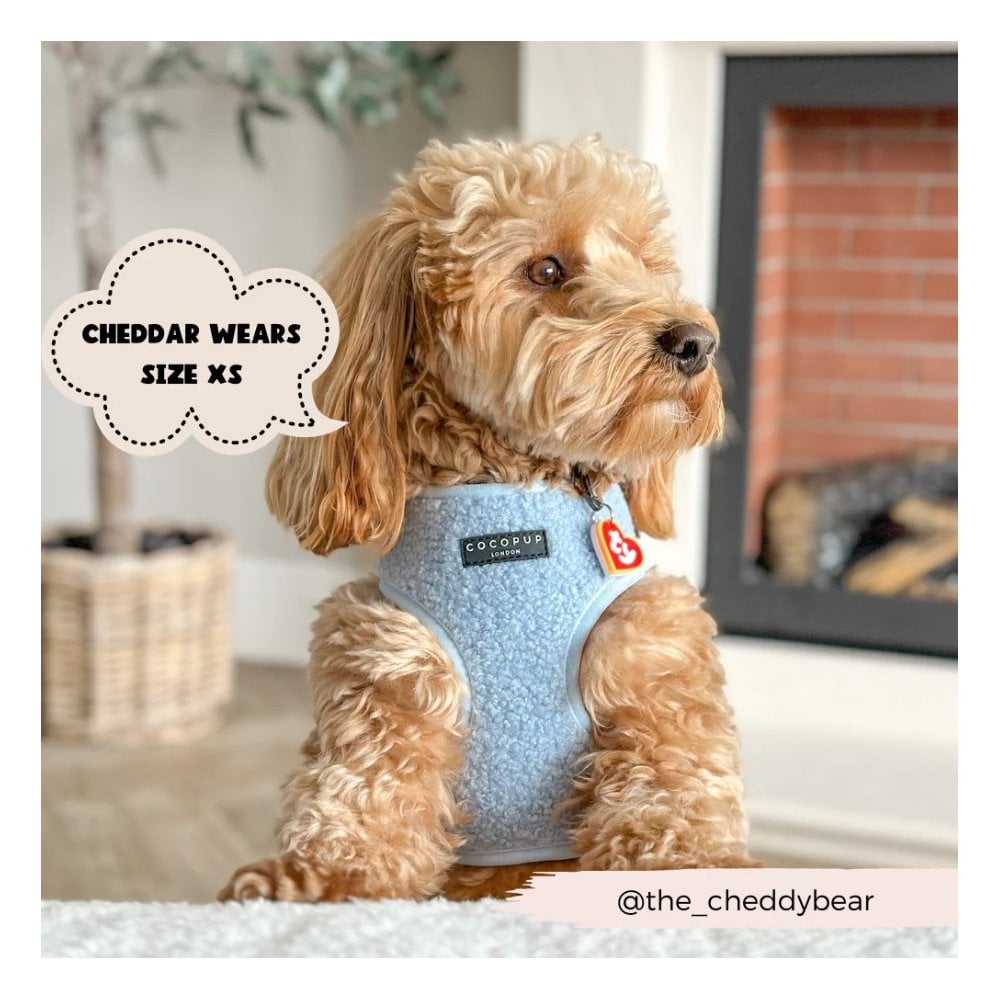 Daydream Teddy Adjustable Dog Harness