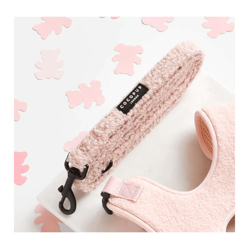 Love-A-Lot Teddy Dog Lead