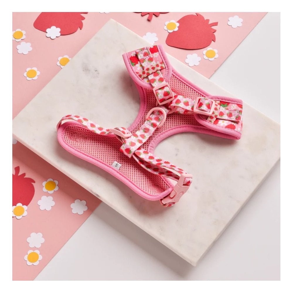 Pupberry Fields Adjustable Dog Harness