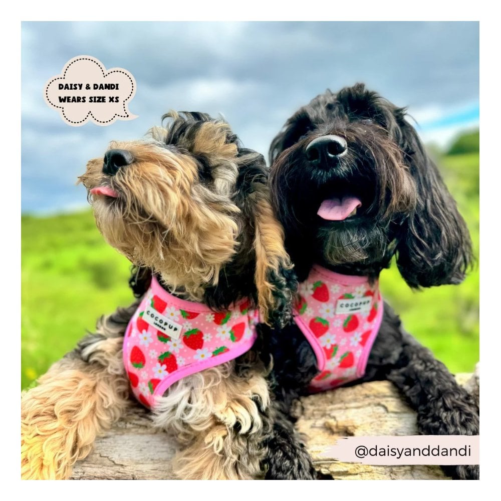 Pupberry Fields Adjustable Dog Harness