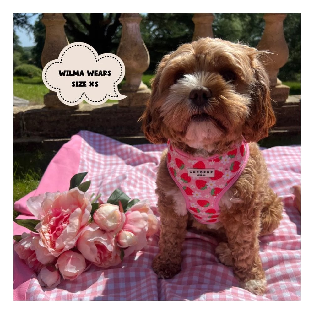 Pupberry Fields Adjustable Dog Harness