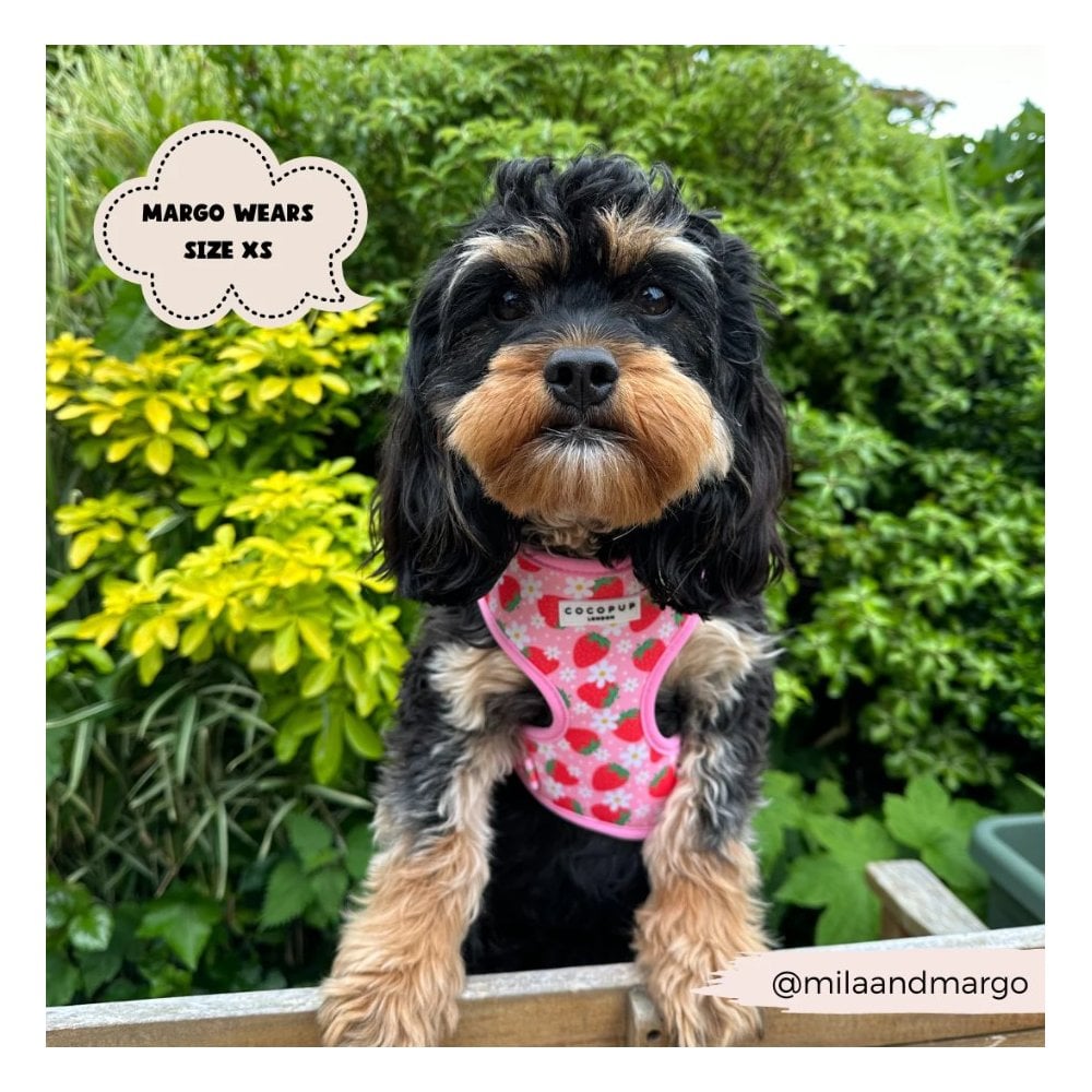Pupberry Fields Adjustable Dog Harness