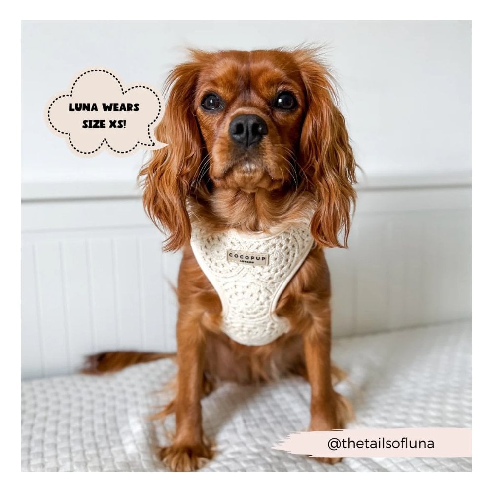 Festival Crochet Adjustable Dog Harness