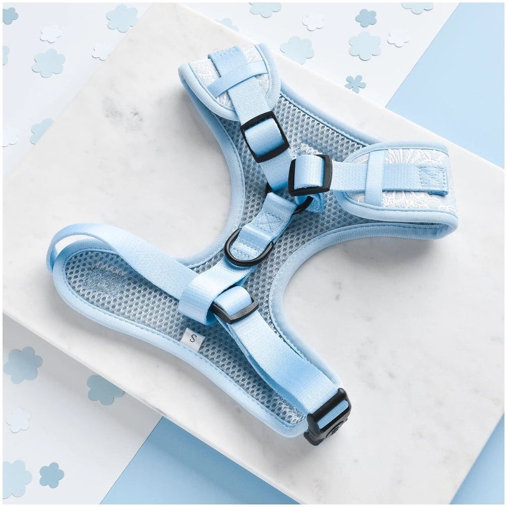 Luxe Baby Blue Flower Adjustable Dog Harness