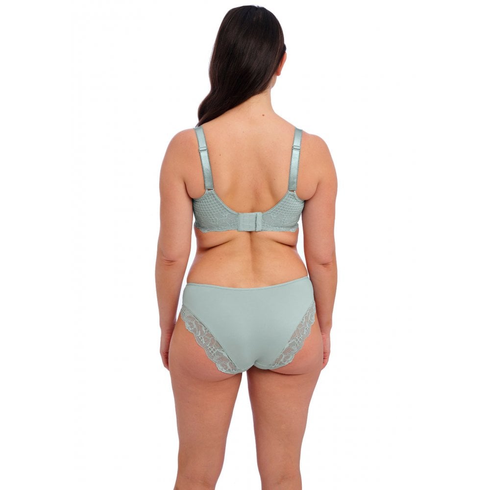 Reflect Brief