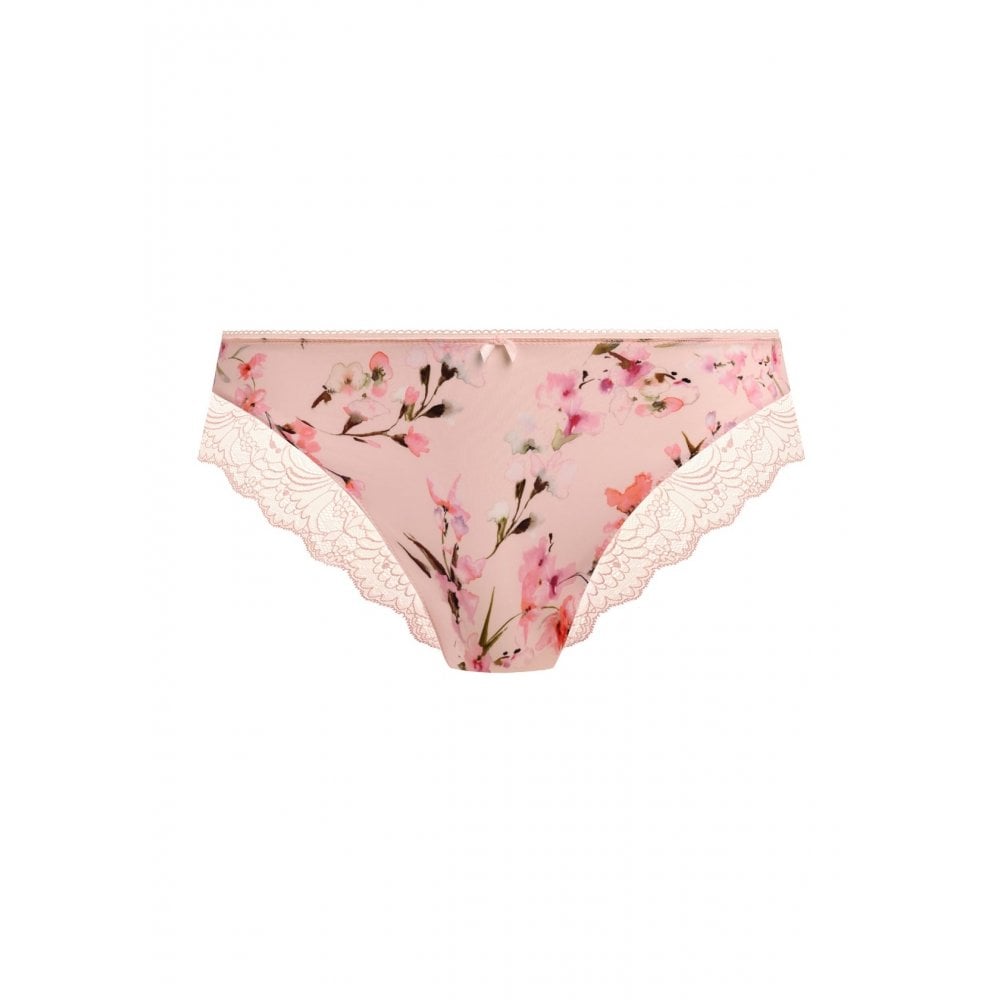 Lucia Brief