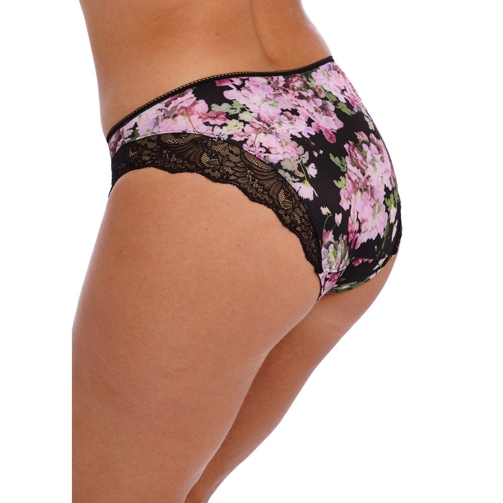 Lucia Brief