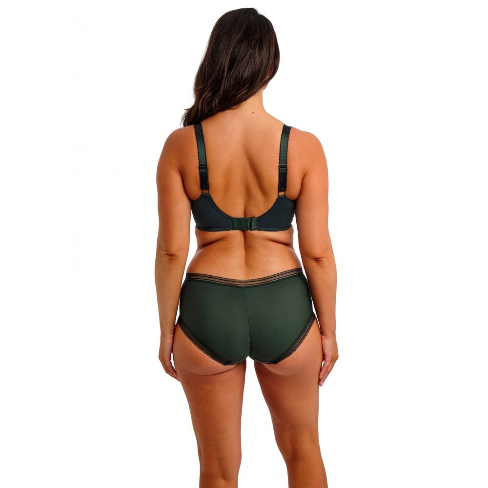 Fusion Brief