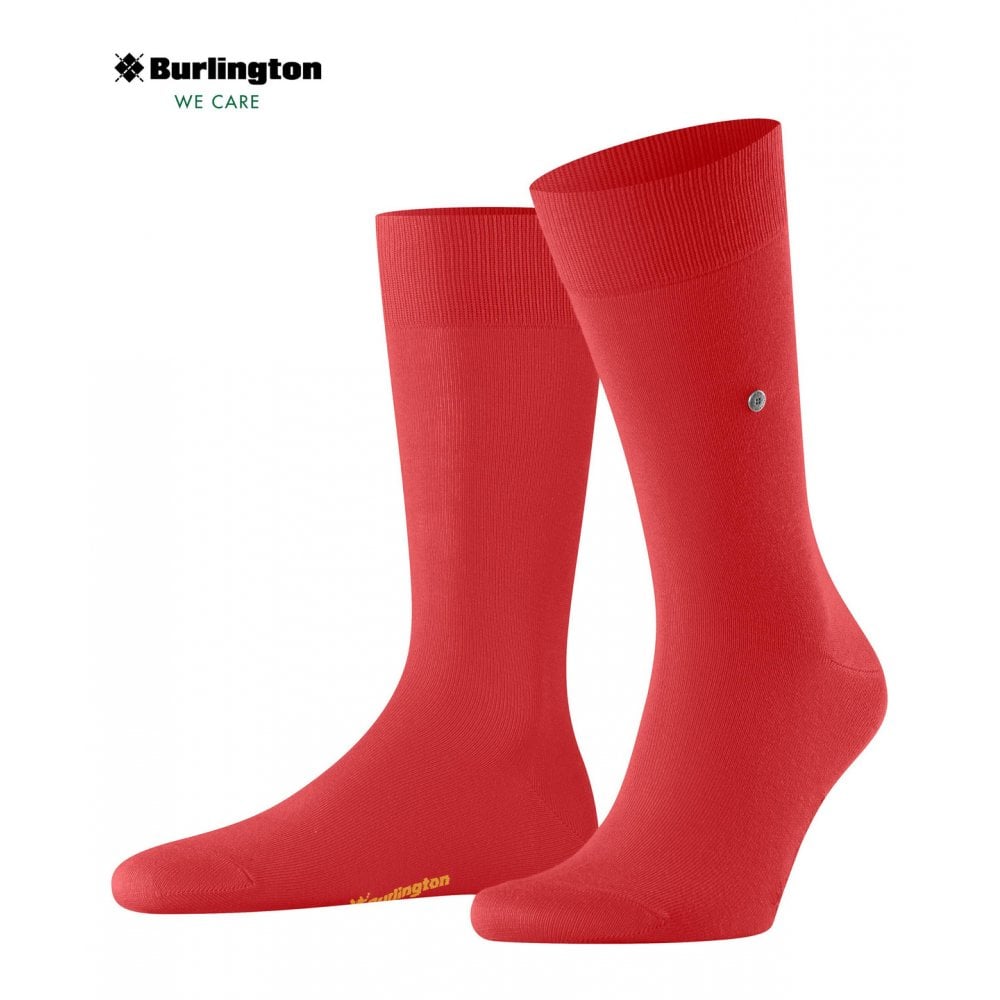 Lord Socks