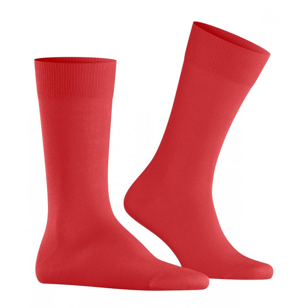 Lord Socks