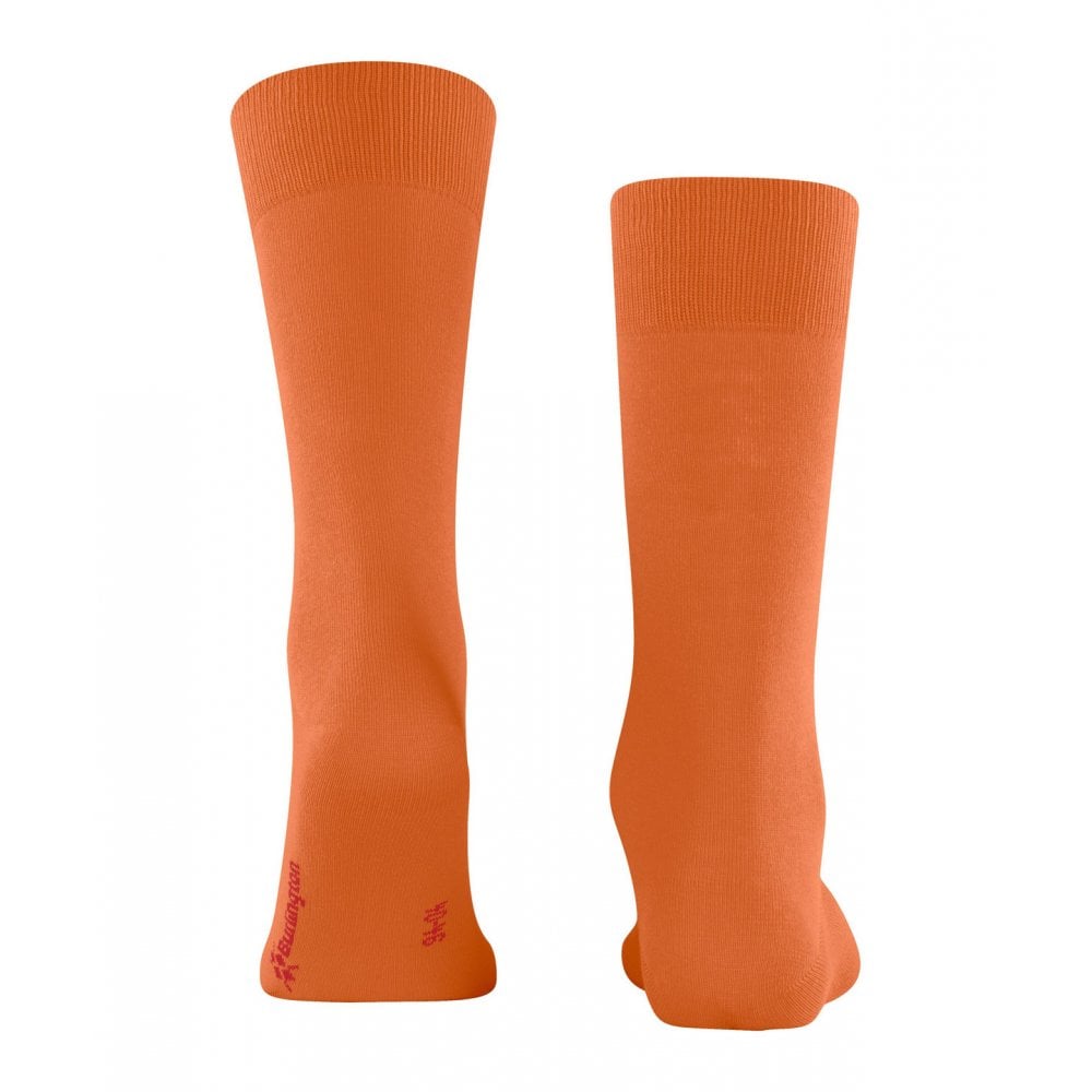 Lord Socks