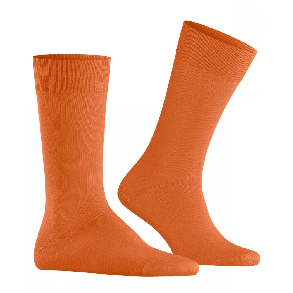 Lord Socks