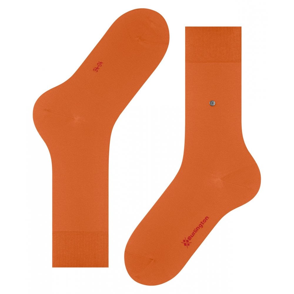 Lord Socks