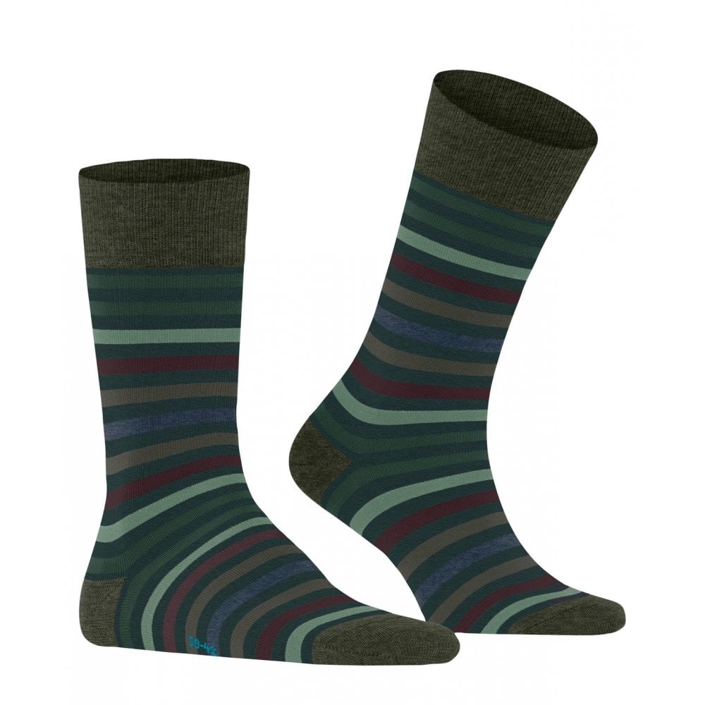 Tinted Stripe Socks