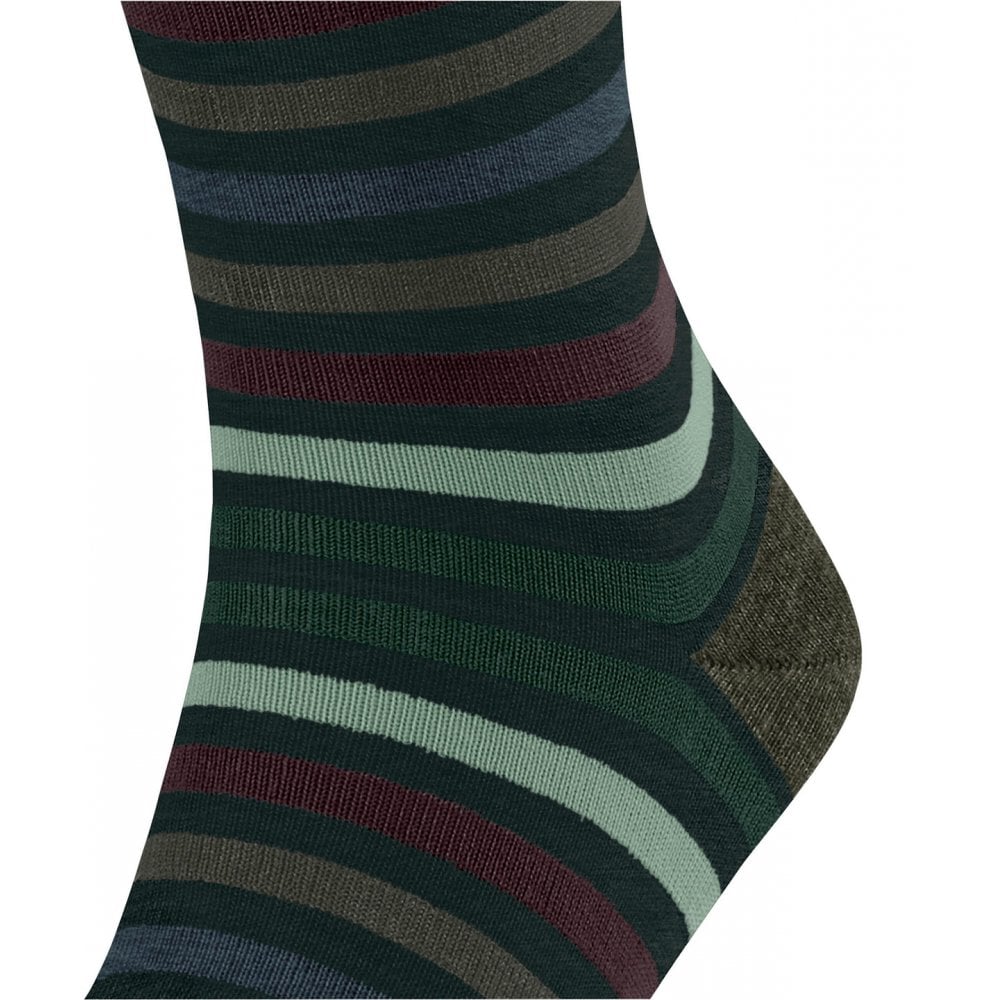 Tinted Stripe Socks