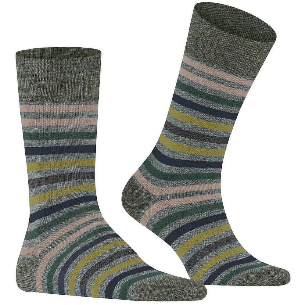 Tinted Stripe Socks