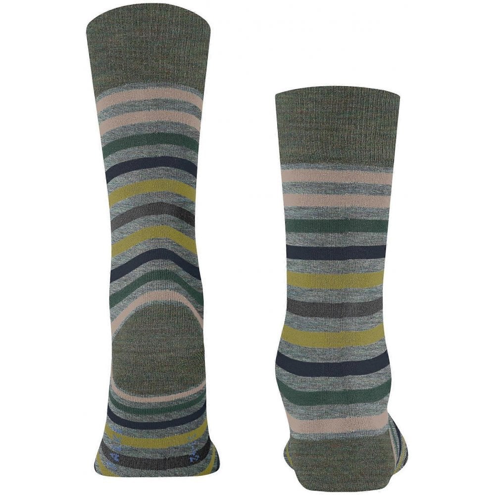 Tinted Stripe Socks