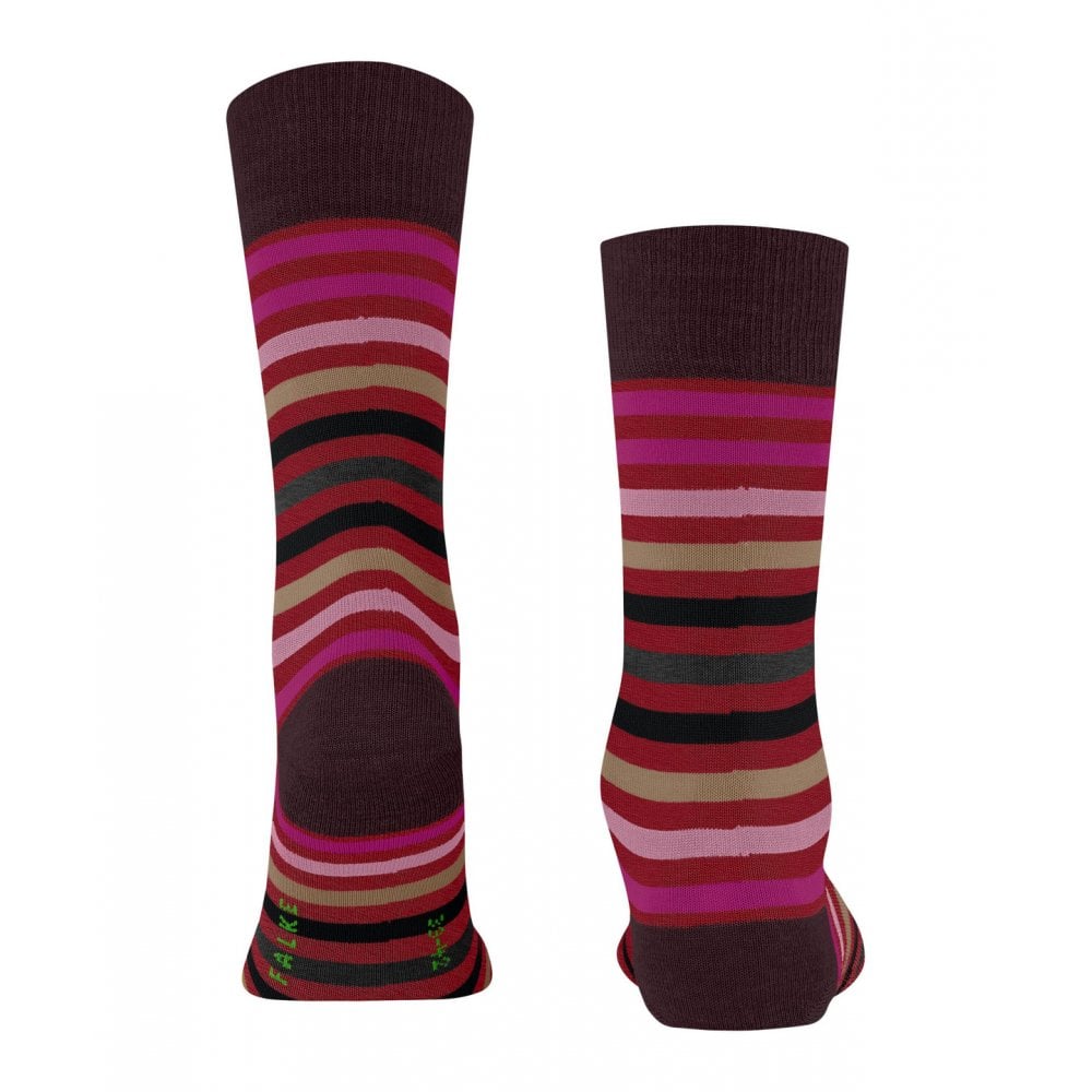Tinted Stripe Socks