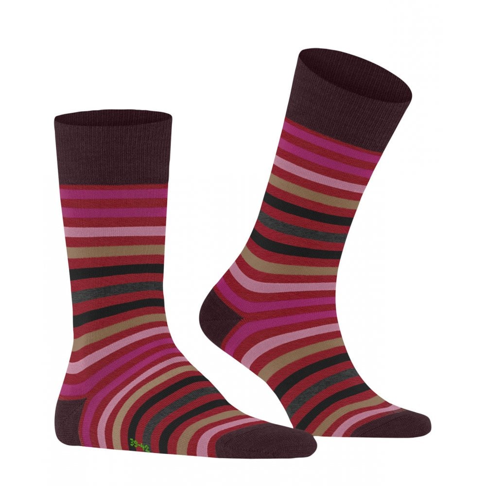 Tinted Stripe Socks