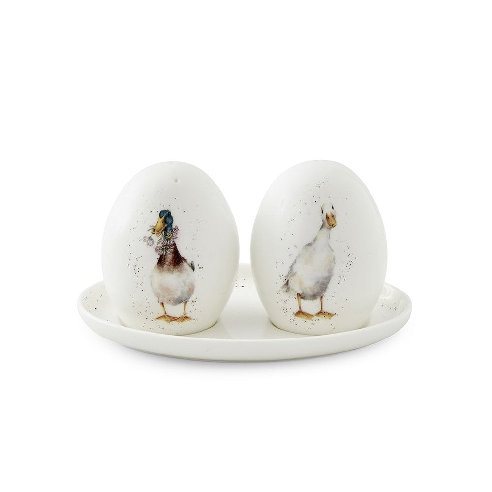 'Not a Daisy Goes By' Duck Salt and Pepper Pots