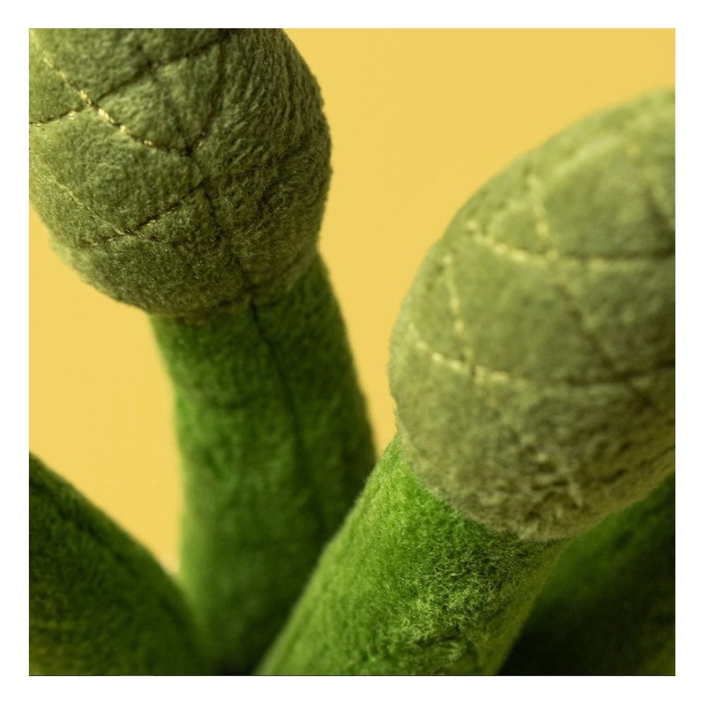 Amuseables Asparagus