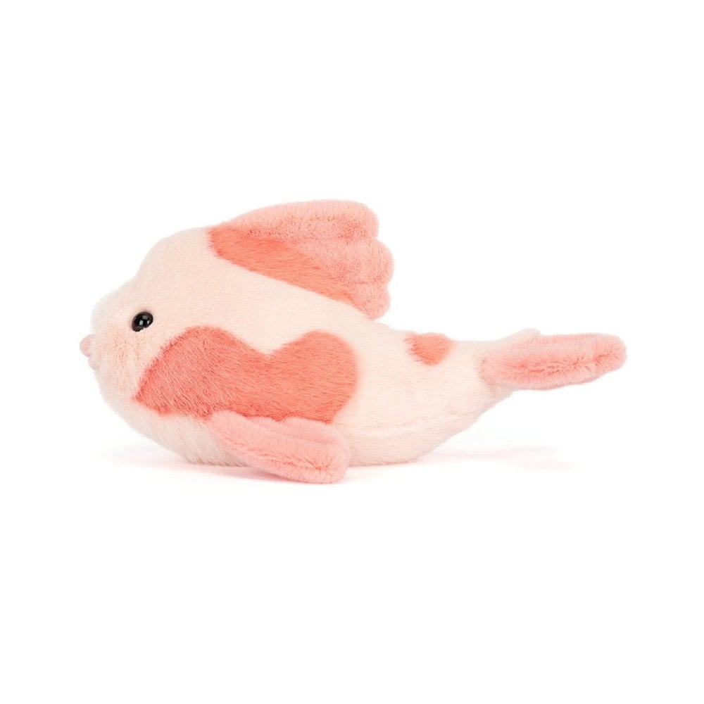 Fancy Carp