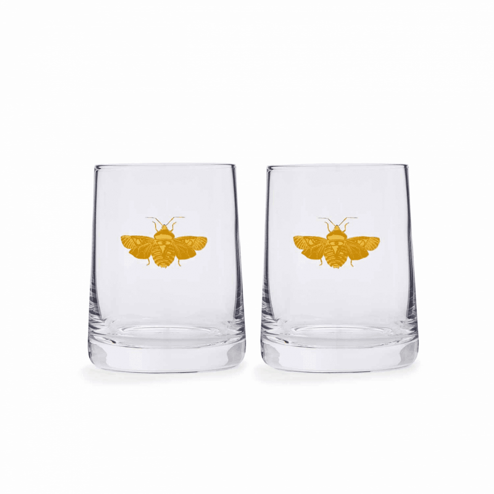 Creatures of Curiosity Glass Tumbler - Set of 2
