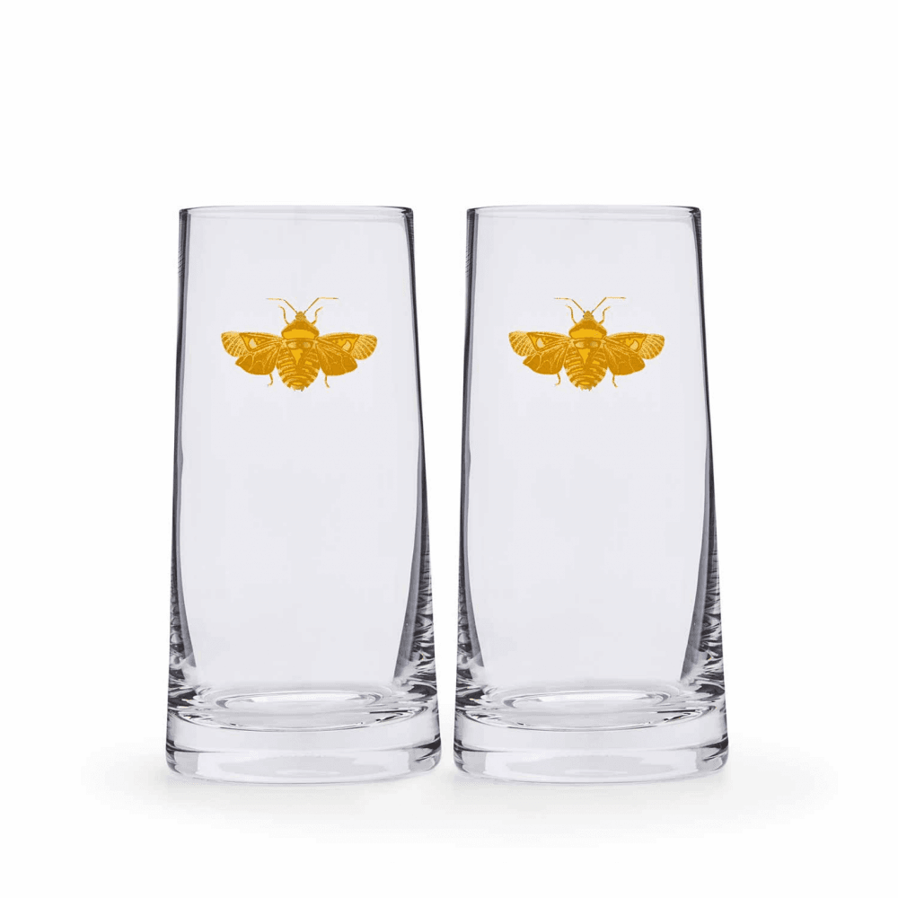 Creatures of Curiosity Highball Glass - Set of 2